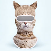 Tabby Cat