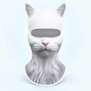Ice Cat