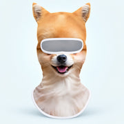 Shiba